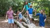 Family walking along a fallen tree in a summer woodland