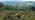 Landscape showing open heathland in the foreground and dense woodland in the background