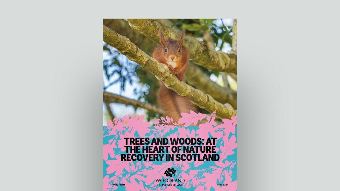 Trees And Woods At The Heart Of Nature Recovery In Scotland Document Cover