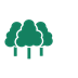 Broadleaf trees icon